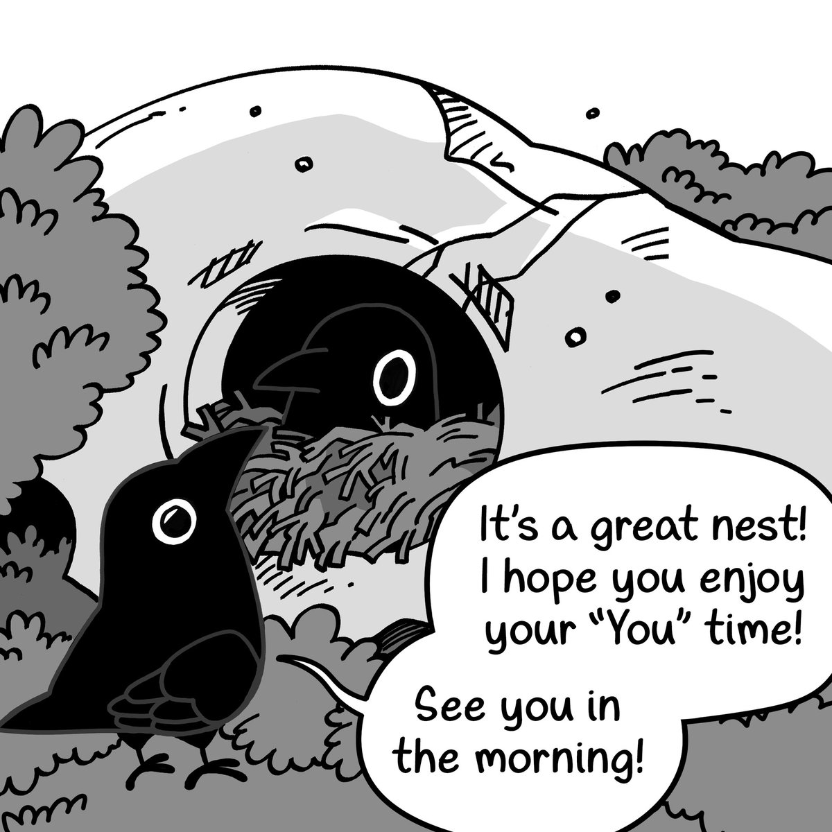 New Crow Time [2/3] 💀👁 