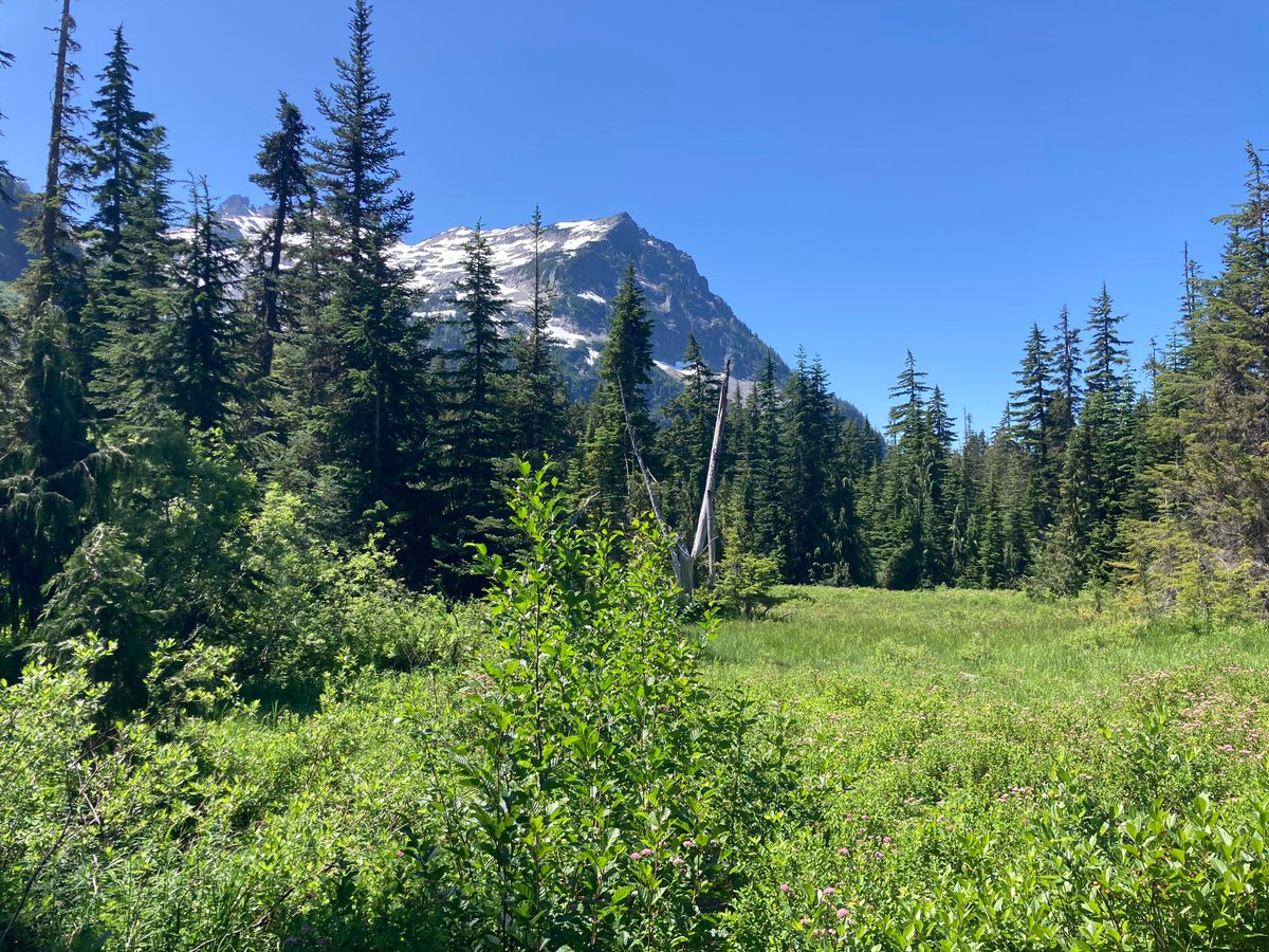 seventhdevin's tweet photo. the trail goes this way @tramblis https://t.co/bVrqPvrJ8A