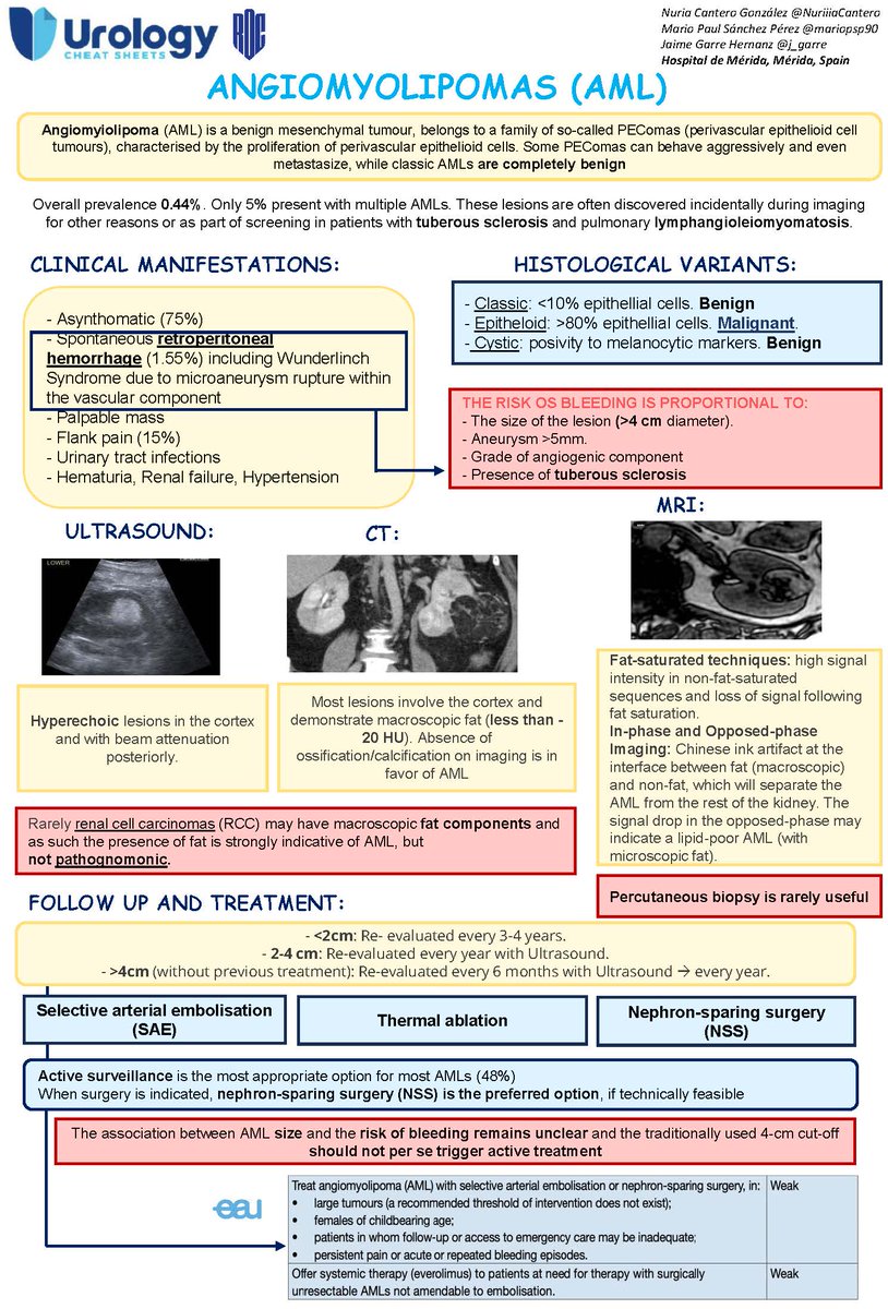 UROLOGY CHEAT SHEETS tweet media