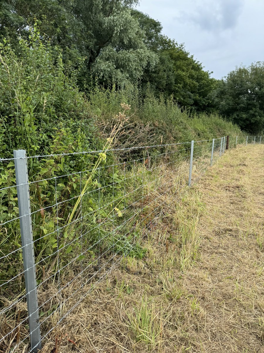 jason_JBC's tweet photo. All fenced up, on to the next 🚜 💨 🦾#stockfence #Lincolnshire #steelposts https://t.co/ucKWtwtbv0