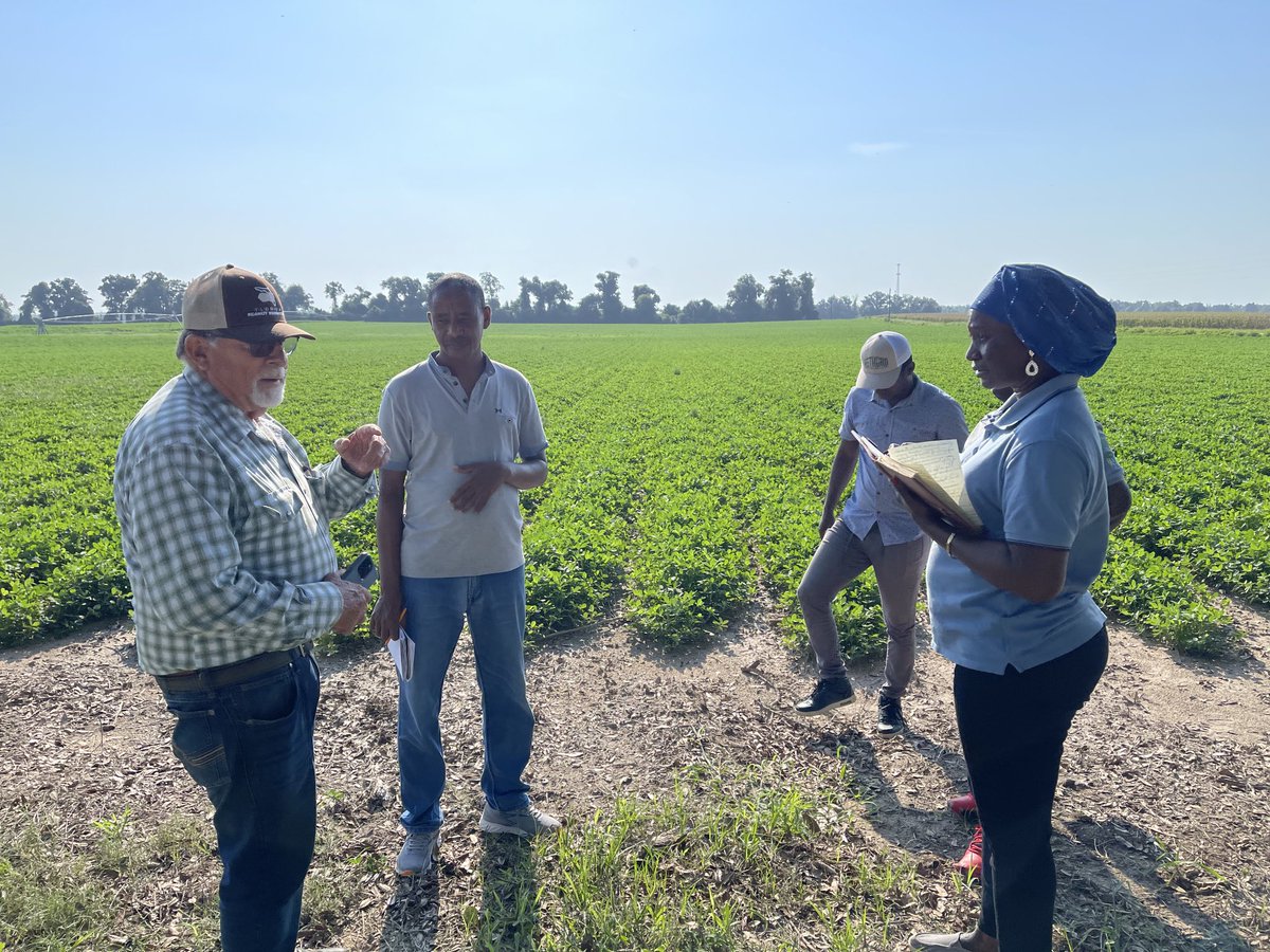 dubeux's tweet photo. Busy morning four our USDA Fellows! Thanks to Larry Ford and Bill Conrad for hosting us at their farms, and to Camila Souza for demonstrating in the lab the soil-test biological activity! ⁦@UF_IFAS⁩ ⁦@UFIFASAgronomy⁩ ⁦@nutridairy⁩ ⁦@UF_IFAS_GFSI⁩ https://t.co/ISoH7qDded