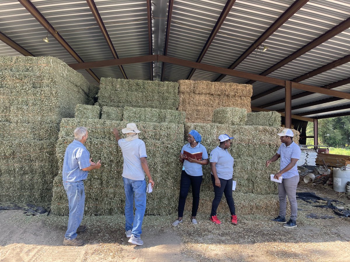 dubeux's tweet photo. Busy morning four our USDA Fellows! Thanks to Larry Ford and Bill Conrad for hosting us at their farms, and to Camila Souza for demonstrating in the lab the soil-test biological activity! ⁦@UF_IFAS⁩ ⁦@UFIFASAgronomy⁩ ⁦@nutridairy⁩ ⁦@UF_IFAS_GFSI⁩ https://t.co/ISoH7qDded