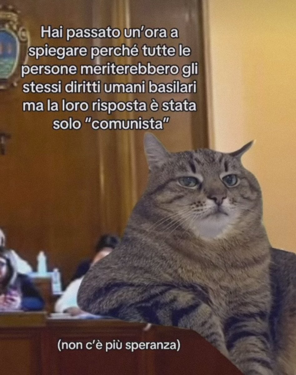 Malcontenta1's tweet photo. Pov sei al cenone di Natale: https://t.co/RFDeMC8QPQ