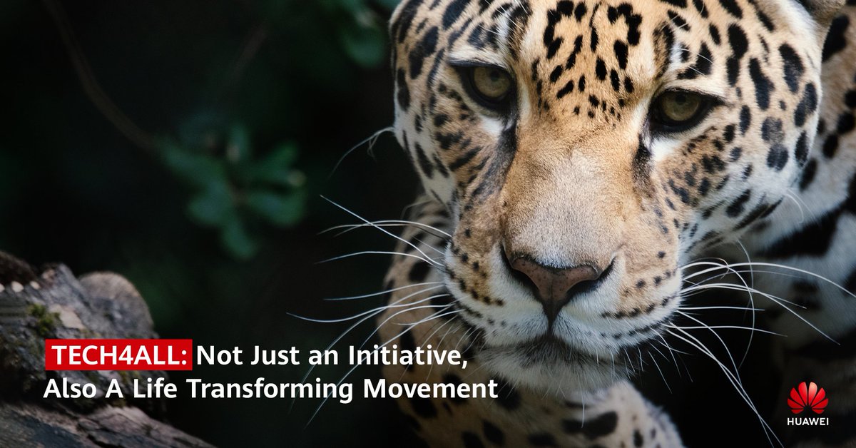 jiude_liu's tweet photo. The #Tech4Nature project in the Dzilam Reserve, #Yucatan, has been of vital importance to Huawei. Explore Armando's experience and involvement in this transformative initiative https://t.co/jLgpAA2cS0