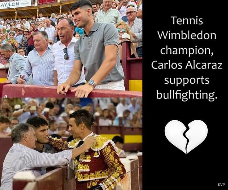 ProtectTheWild_'s tweet photo. So disappointing to see the Wimbledon champion is a supporter of bullfighting. 

A shameful ‘sport’ that has no place in 2024. https://t.co/X0NWpNZi5k