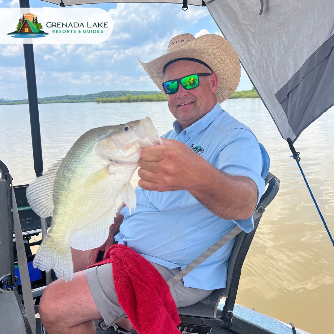 Visiting Grenada Lake in 2024? Schedule a guided trip with <a href="/GrenadaResorts/">Grenada Lake Resorts</a> to increase your chances of reeling in a Mississippi slab. Don’t forget to check out all of their lodging options! grenadalakeresorts.com

#GrenadaLakeResorts #CrappieGuides #VisitMS #MississippiLodging