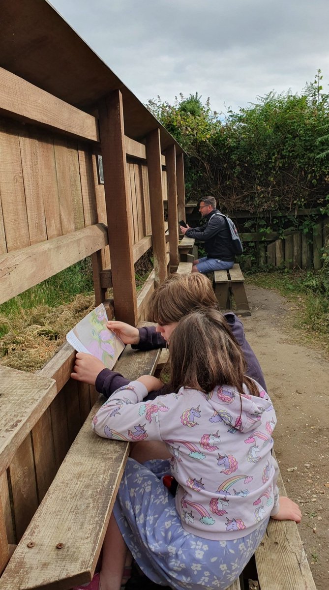 battybirder's tweet photo. Had a lovely walk at #RSPBArne a couple of days ago. Lots of fab wildlife spotted including marbled white, sika deer, Dartford Warblers &amp; more 🦋🐛🐜🐝. Junior Ranger #1 was also inspired to do his take on a  @BBCSpringwatch intro - @ChrisGPackham he might be after your job 😉 https://t.co/7z5H9k5Mmc