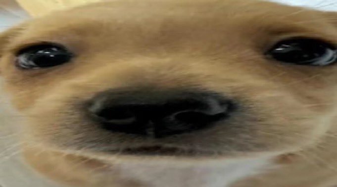 moonslshr's tweet image. I need to lock in…