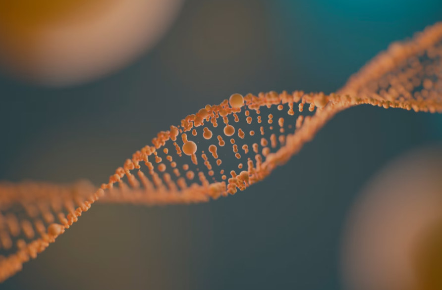 Genomic sequencing technology is getting cheaper, faster, and more accessible. What are the implications of genetic data as a tradeable commodity? Learn more: “Commercialization of Biological Data.” #BiodigitalConvergence
horizons.service.canada.ca/en/2024/biolog…