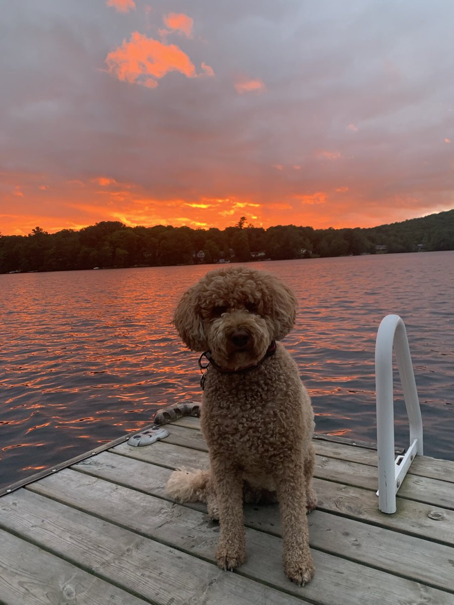 Shawn Brown tweet media