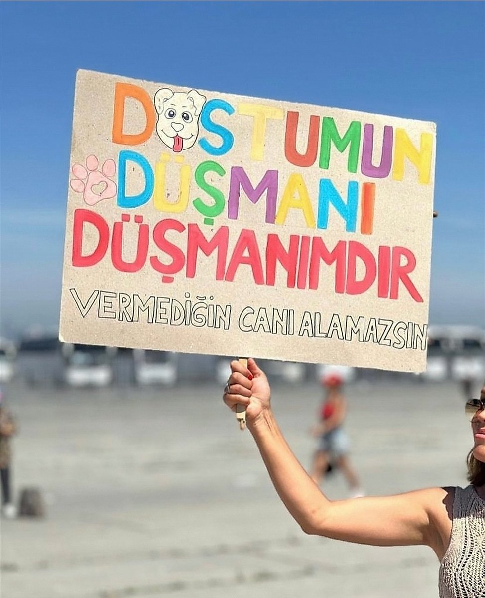 Merhamet etmeyene merhamet edilmez.
Ömür boyu sizi affetmeyeceğim.
#KatliamaOyumHayır