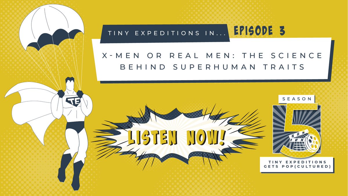 🦸‍♂️X-Men or Real Men🦹‍♂️

Listen to <a href="/ExpeditionsTiny/">Tiny Expeditions Podcast</a> Season 5, Episode 3, "X-Men to Real Men: The Science Behind Superhuman Traits," to learn more about the real heroes behind genetic research &amp; if superpowers are just a thing in movies!

Listen now: hudsonalpha.org/from-x-men-to-…