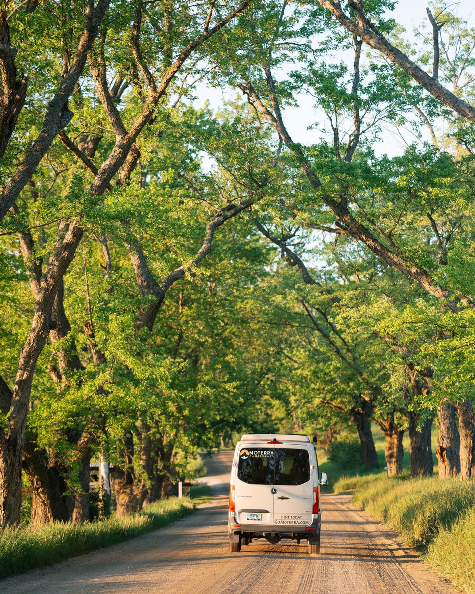 MoterraVans's tweet image. 🌲🌊 Northern Maine is a treasure trove of natural beauty and rich history. Ready to discover the magic of summer in Maine? 🚐💫 

____
#MaineAdventures #ExploreMaine #HappierOutdoors