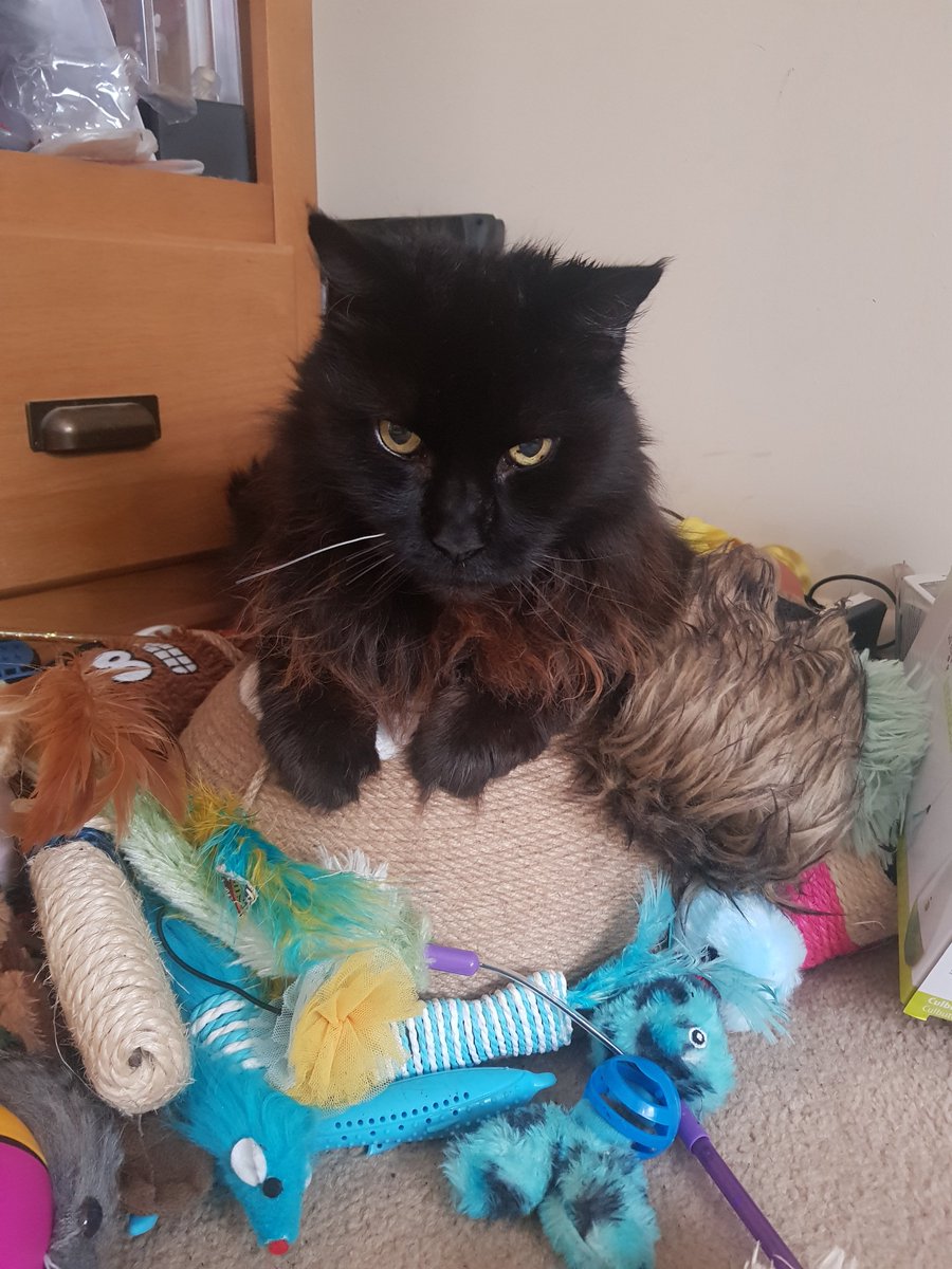 EmmaMilesShadow's tweet photo. A dragon on its hoard. https://t.co/3PNb8CpLL2