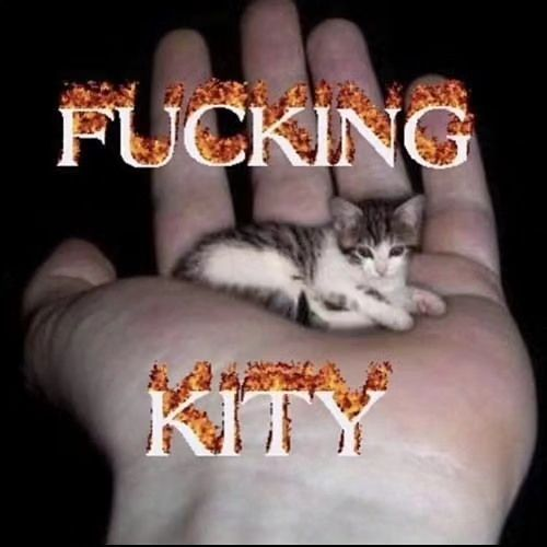 PunchingCat's tweet photo. https://t.co/eFQaECjJSI