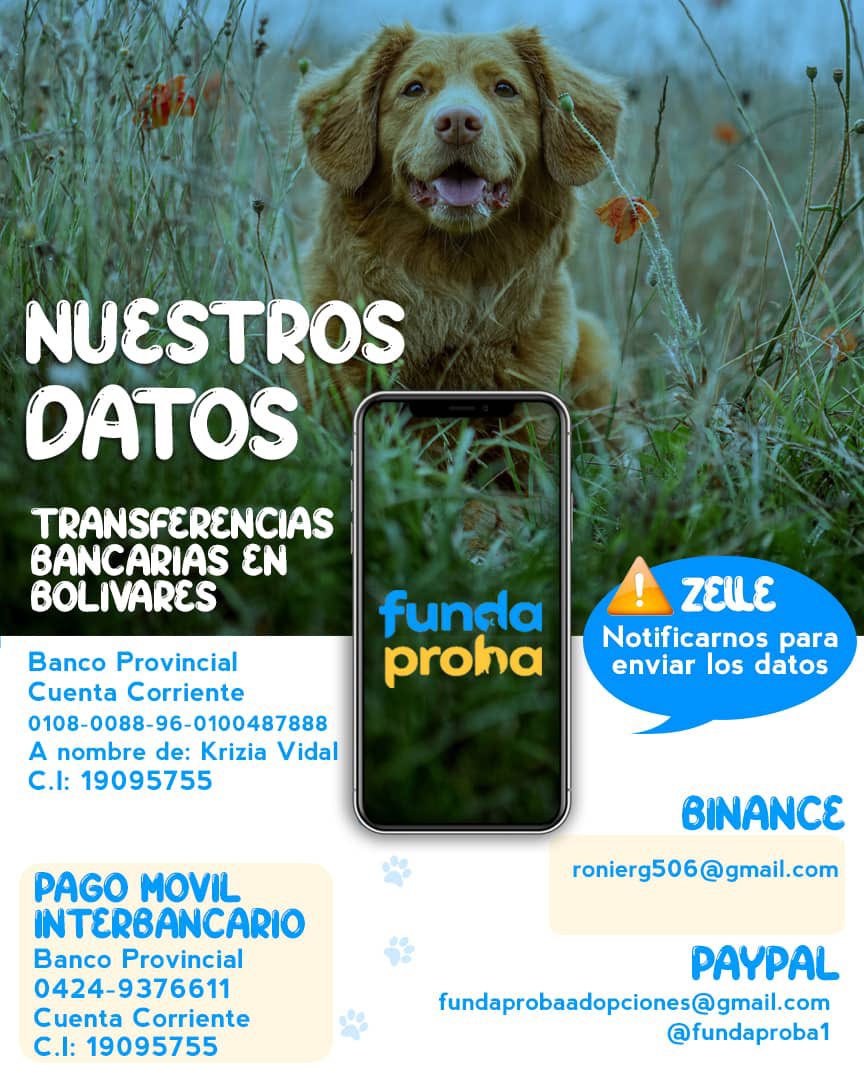 FUNDAPROBA tweet media