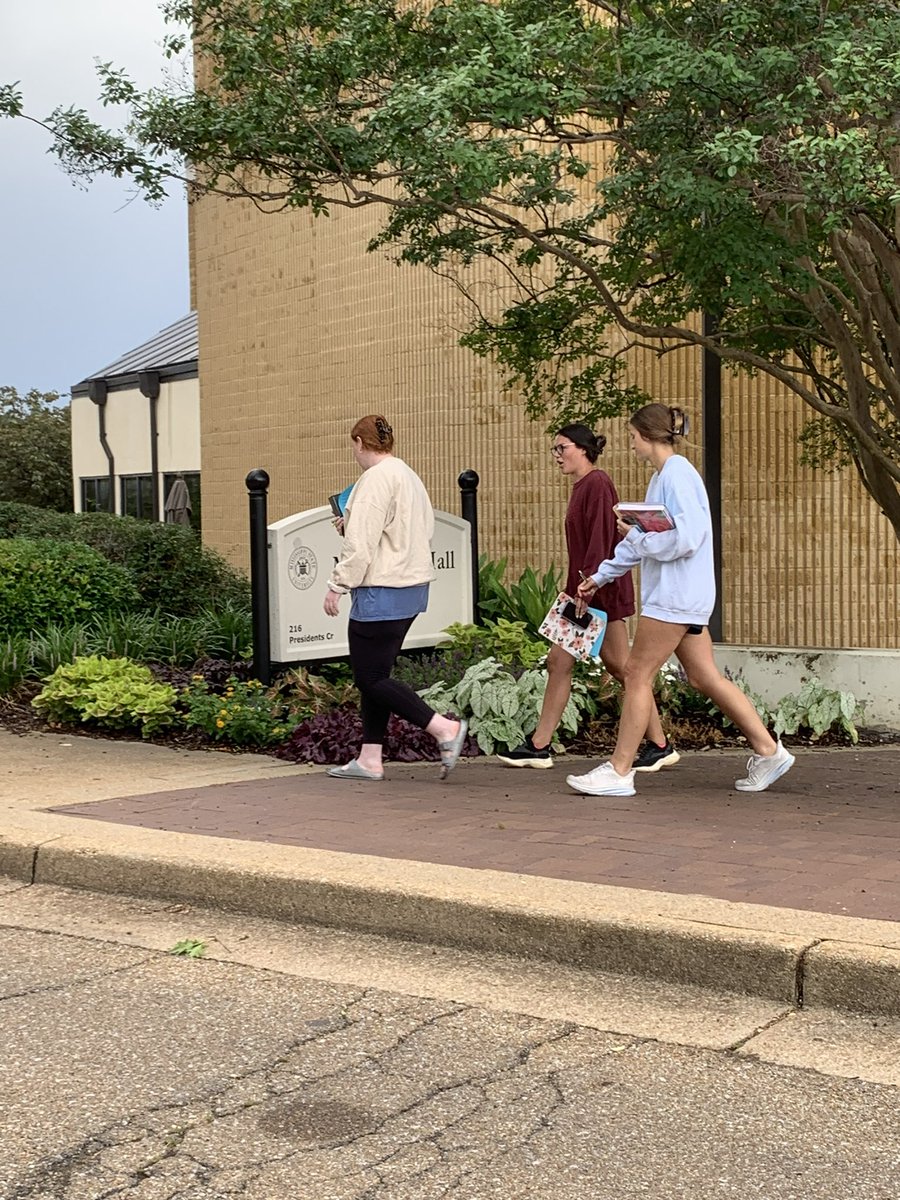 MSU Elementary Education tweet media