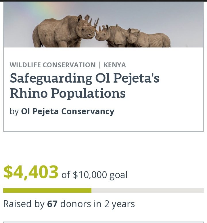Artfamcdk's tweet image. Donating to the Northern White Rhinos recovery project helps preserve one of the most critically endangered species on the planet, with only two individuals remaining. @OlPejeta
@OlPejetaEscapes @HelpingRhinos
#thankyouforsupporting #northernwhiterhinos #fatuandnajin