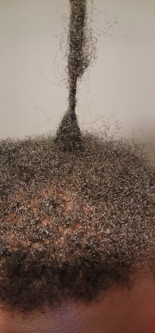 My hair grows so fucking fast man. https://t.co/nIp1wofOCV