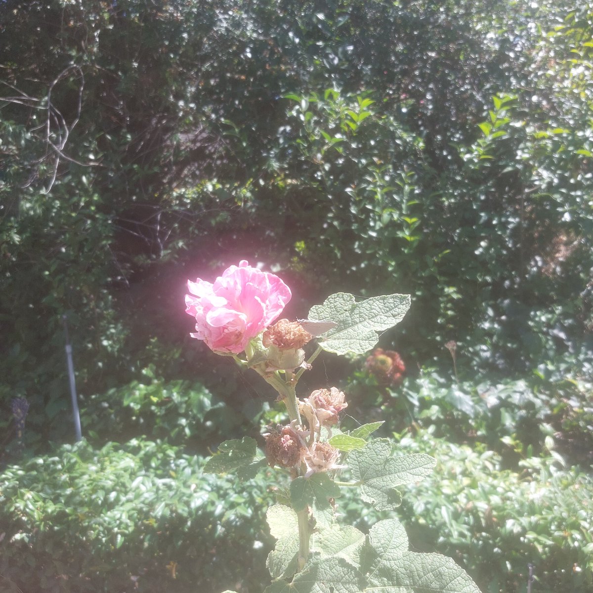 There is beauty all around us. 

Give yourself the time to appreciate it. 

Life will move fast no matter what. 

If we don't step on the brakes occasionally, who will?
