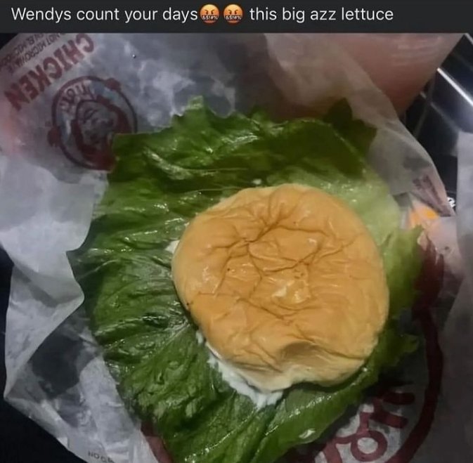 fredbears99's tweet photo. Big Azz Lettuce https://t.co/EReNXpUTwd