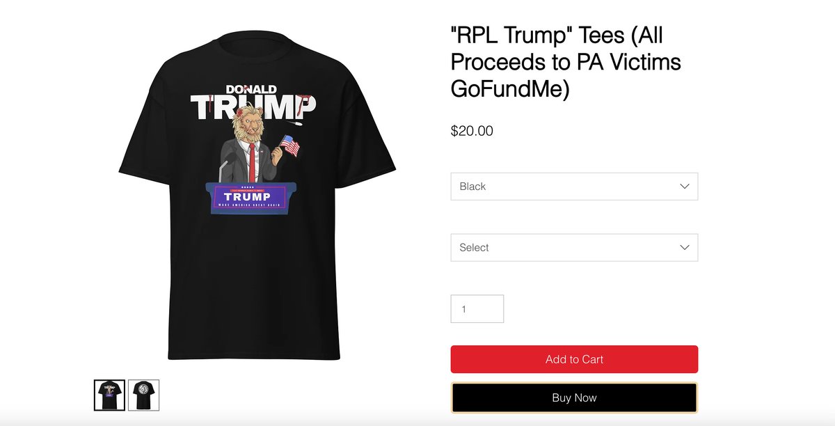 Red Pill Lions will be Hosting Trump inspired Merch based off our 1/1 NFT on our Website for a limited Time Only. All Proceeds will be Directed to the Gofundme for The Victims in Pennsylvania.
Get yours today at redpilllions.com or go and donate straight up at