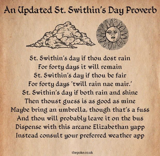 stuDLFSeeds's tweet photo. I really hope St Swithin has got it wrong today!! #pouringdown 🙈💦 https://t.co/YZlX0AEkP7