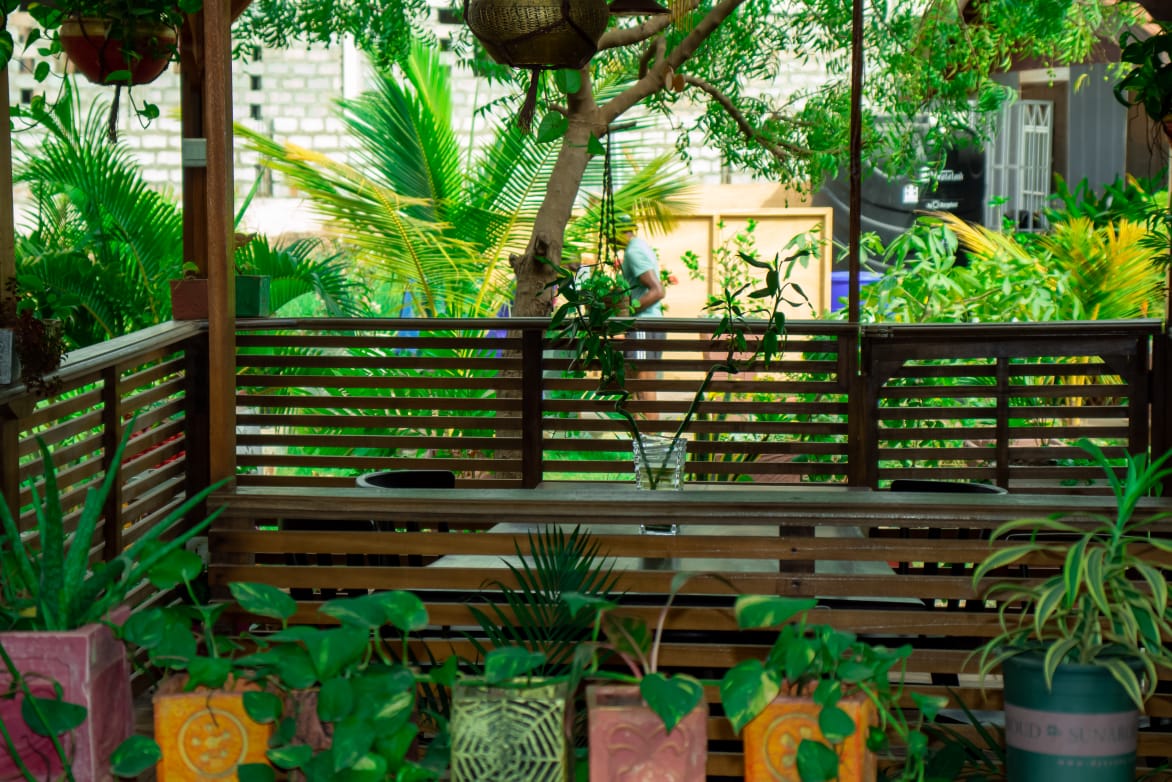 GDfAfrica's tweet photo. Are you seeking a place for life reflection? If so, look no further—Discovery Gardens, Legon, and Lakeside Horticulture are perfect for that experience. https://t.co/gimgpg2FBY
