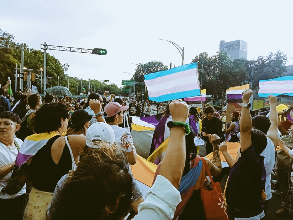 TransHistorias's tweet photo. Marcha de personas No binarias en CDMX #marchanobinariacdmx #aquiestalaresistencianb #asisevelafurianb https://t.co/2gfrgWL2eO