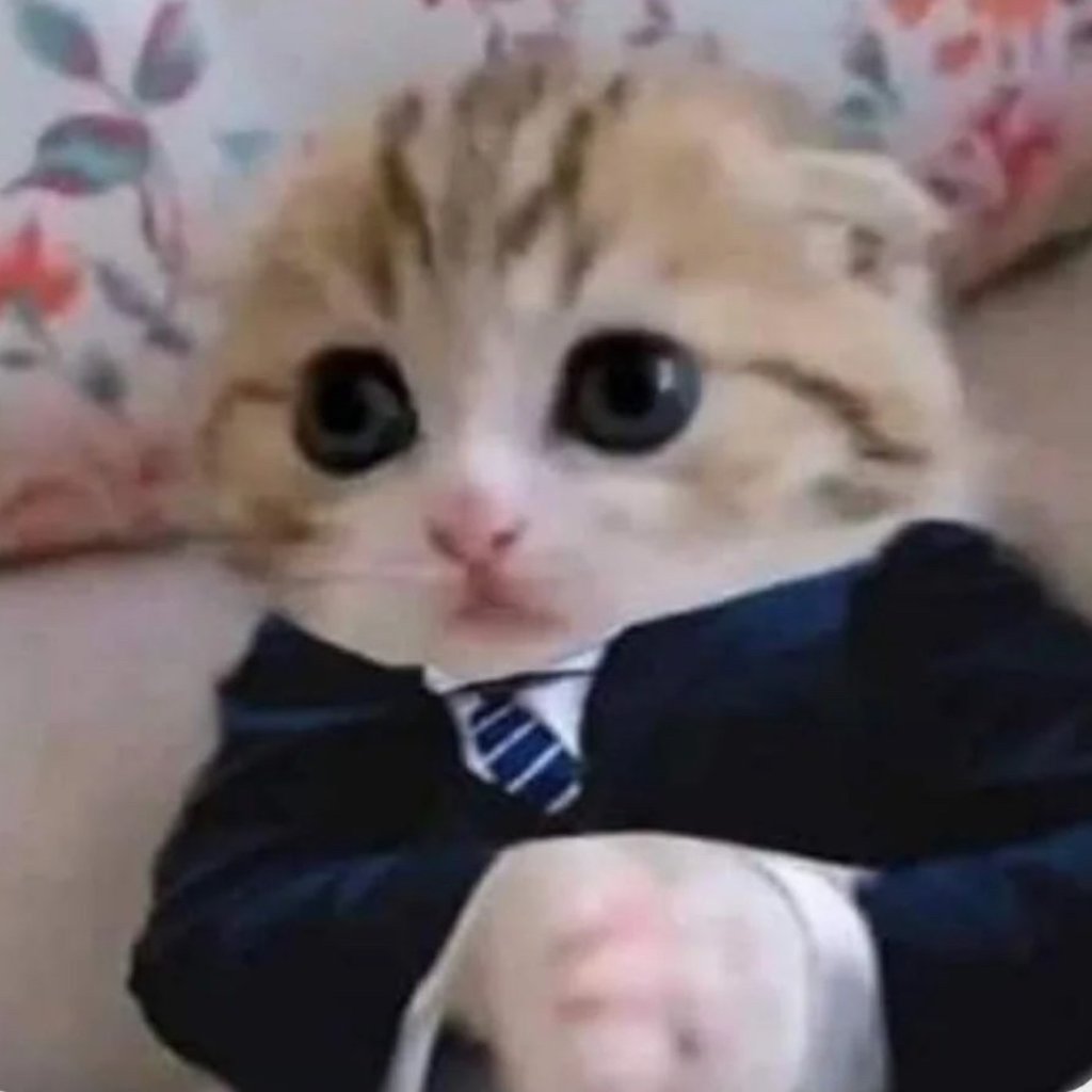 fallen aces

twitch.tv/owoyanni
twitch.tv/owoyanni
twitch.tv/owoyanni