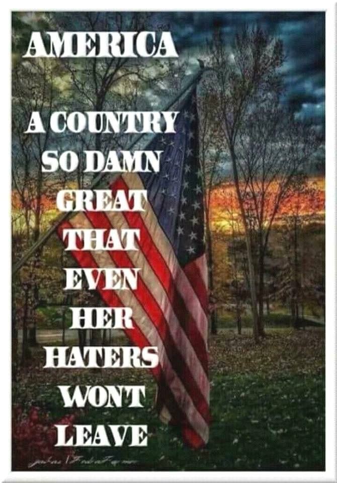 Just_Here_To_Comment tweet media