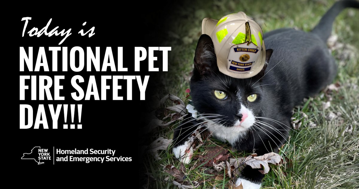 NYSDHSES's tweet photo. Goose the cat wants to remind everyone to:

🔥 Keep pets away from open flames and stovetops
🔋 Use flameless candles
🔎 Make sure smoke detectors are working
🚨 In an emergency, let firefighters know if there's a pet inside the home.
▶️ More: https://t.co/dsnAqoaD5Z https://t.co/FcM4bDpxU5