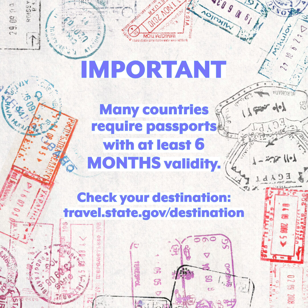 Passport_Now's tweet photo. Download the Passport Now App today and take the stress out of passport renewal! 

https://t.co/0pXQb4lVM9 https://t.co/qDu771Kspw