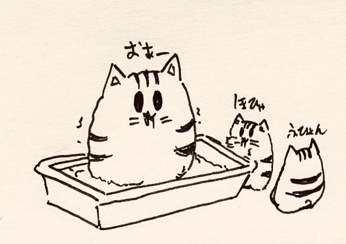 おはよう🐱