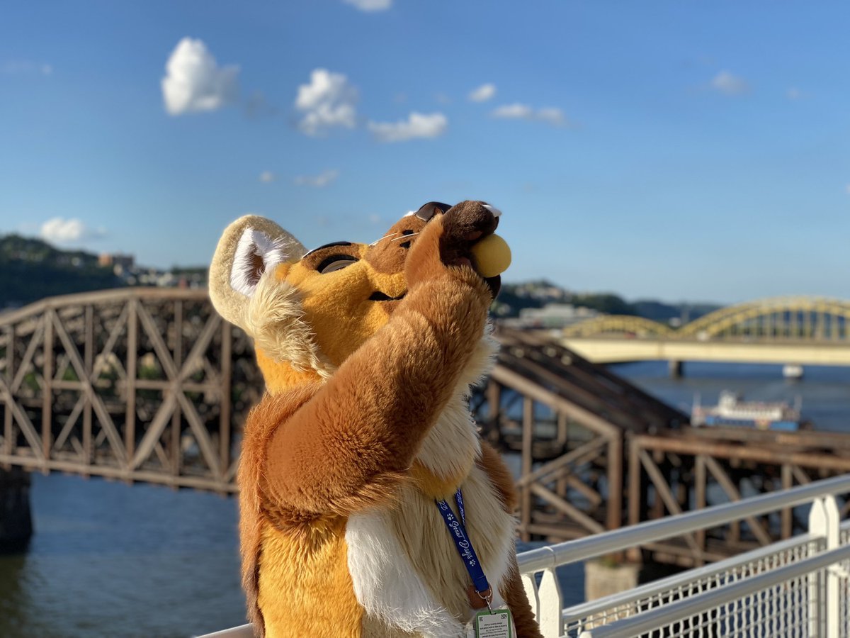 Sippin on a hot day, relaxing in the breeze