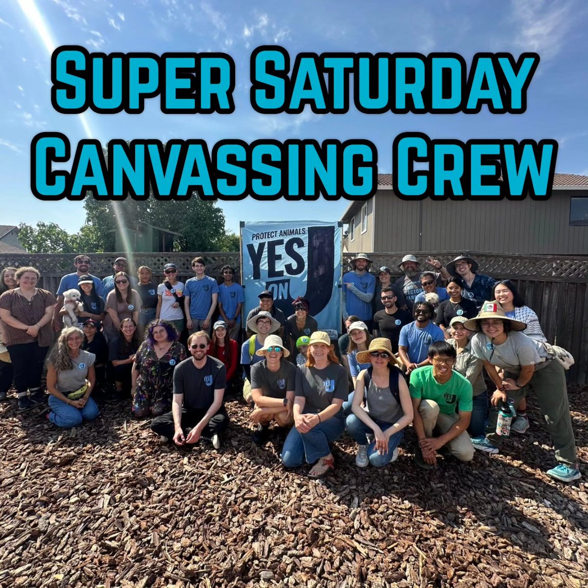 EndCAFOsSoCo's tweet photo. We had 50+ passionate people out canvassing for Measure J this past Saturday! This was a single day record for the campaign!

Thank you to all of those who made it out. We reached nearly 1700 voters in just a few hours going door to door.

#MeasureJ #SonomaCounty #YesOnJ https://t.co/Rc0MdATTFA