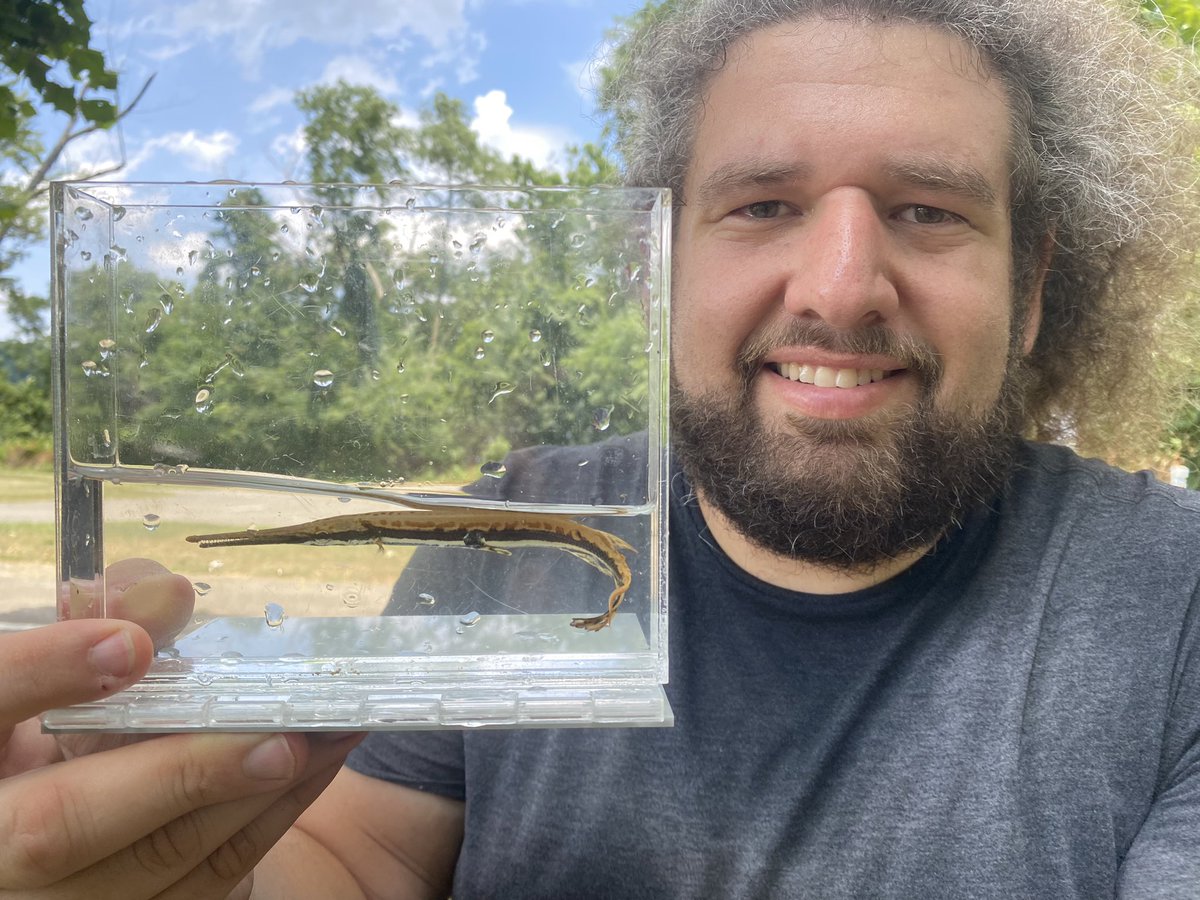 Joel Corush tweet media