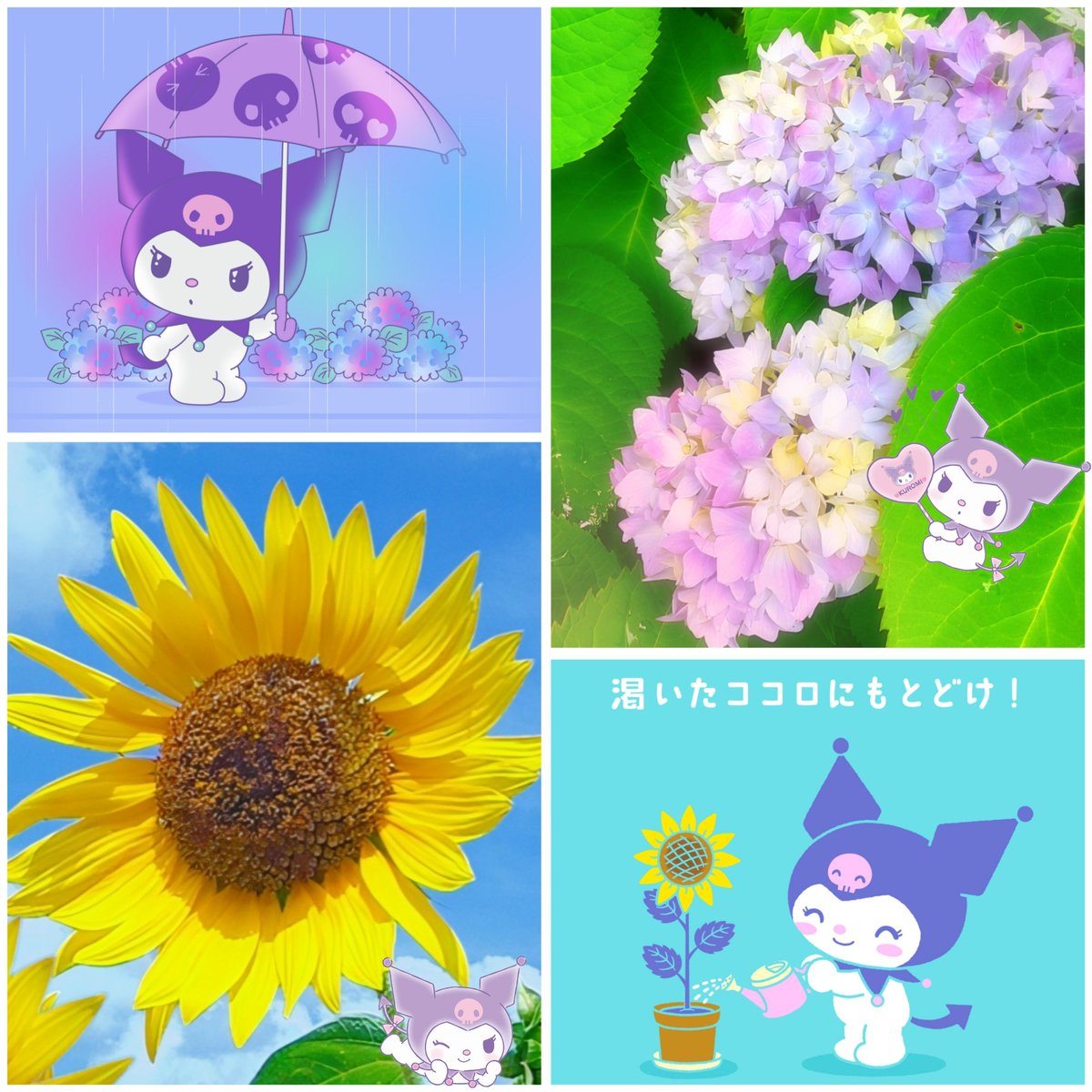 jdak2571's tweet photo. おはようございます
　𓂃𓈒🌻*｡ﾟ❁ ᯽ ꕤ https://t.co/vi9tLtNpcK