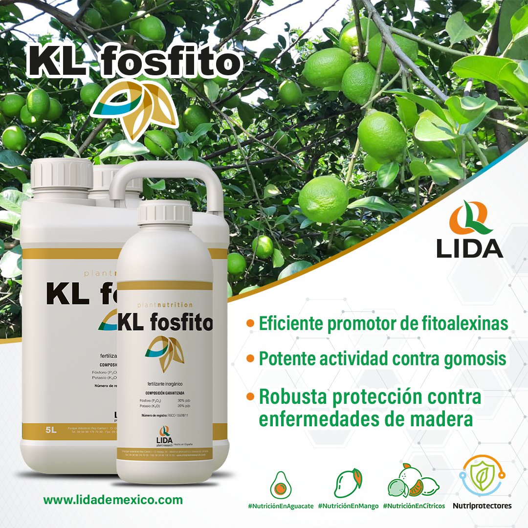 LIDADEMEXICO's tweet photo. El estándar en protección contra enfermedades causadas por Phytophthora en árboles: fosfonato potásico adicionado con los humectantes y agentes estabilizadores que aseguran la más rápida asimilación y la más prolongada actividad dentro de la célula🥭🥑🍋#KLFosfito #LidaDeMéxico https://t.co/haCvGGU197