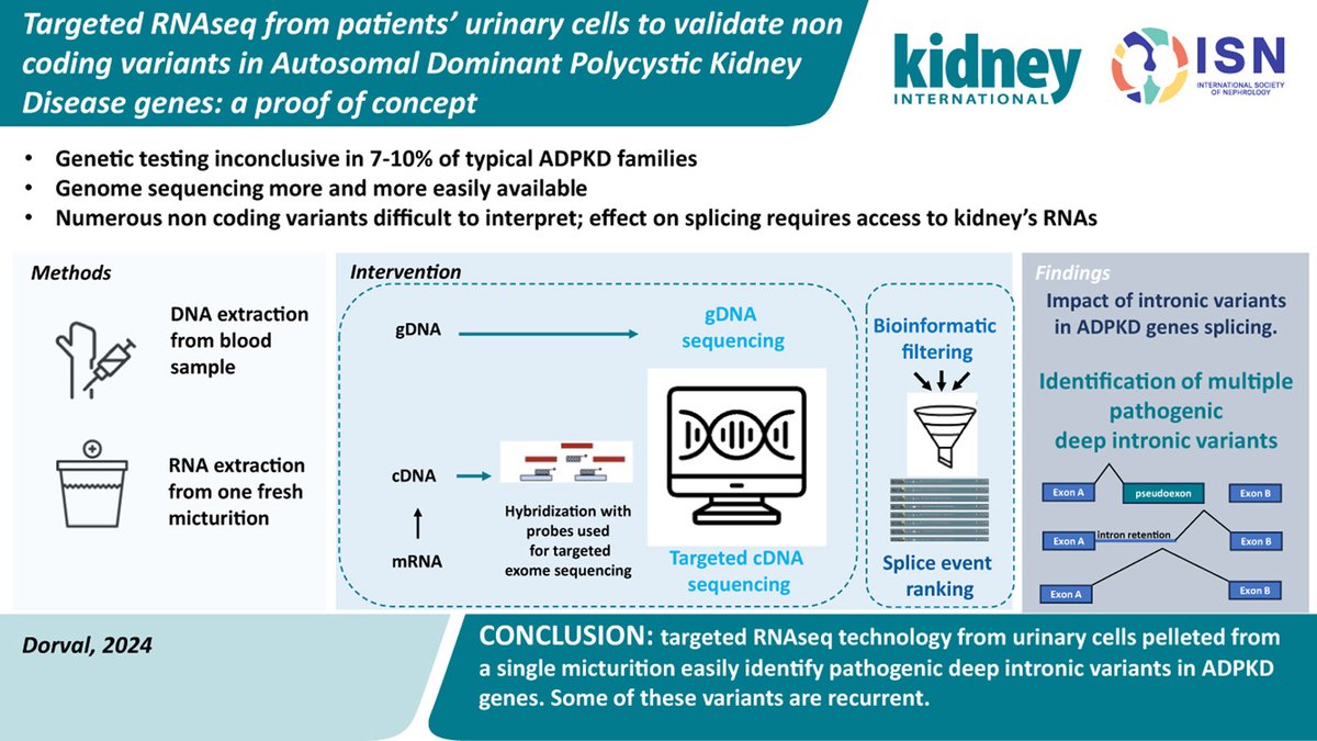 Kidney International tweet media