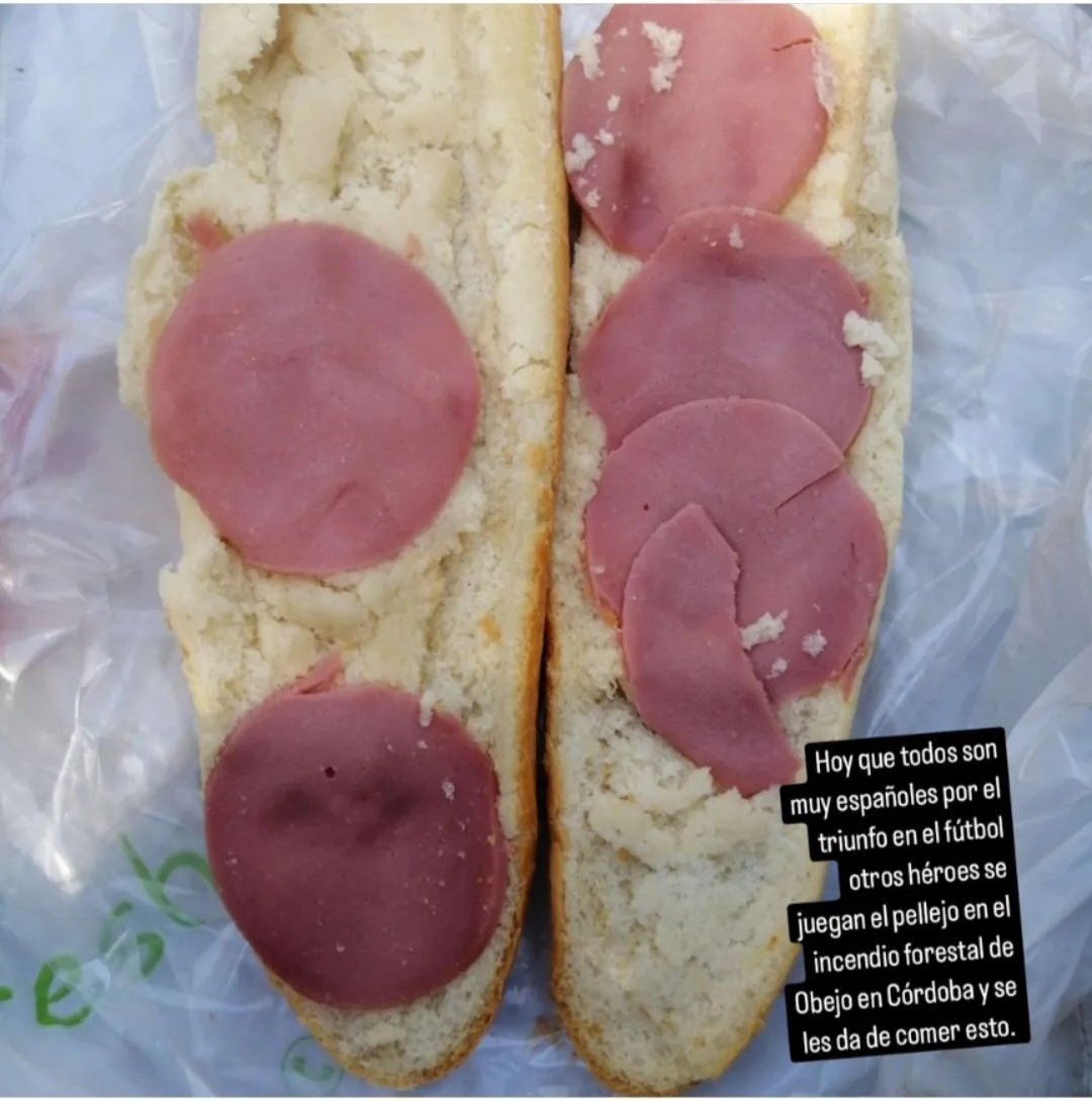 rafa_carmonarod's tweet photo. Esto es el alimento que se le proporciona aún BF después de 14 de esfuerzo sobrehumano para tratar de conservar nuestro patrimonio natural,bocadillo del viernes en el IF de Obejo,Córdoba. Ahora que salgan a desmentirlo. https://t.co/iJ4zSh23KI
