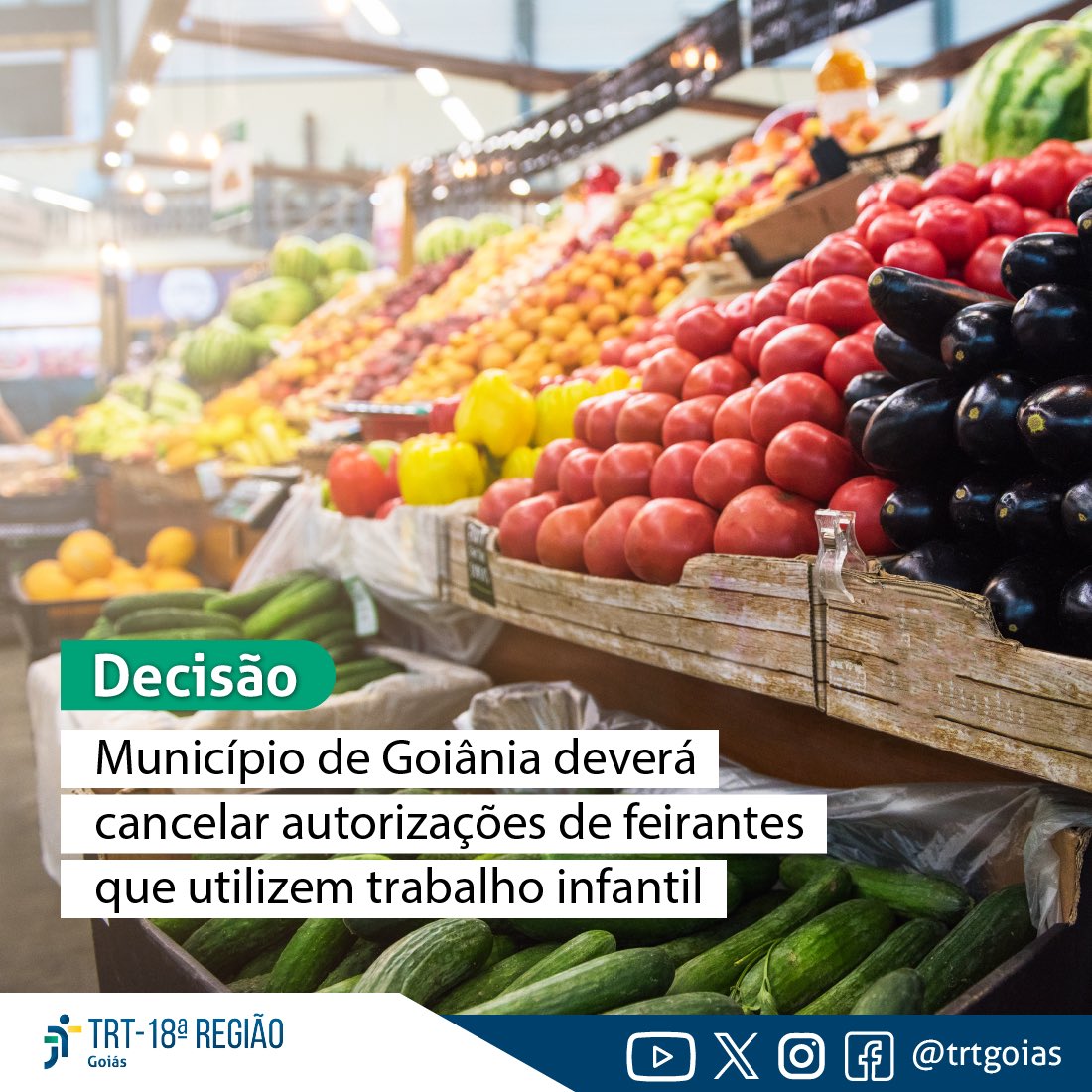 A decisão unânime da Segunda Turma do TRT-GO manteve sentença do juízo da 11ª VT de Goiânia que obriga o município a autorizar ou renovar a atividade de feirante que não utilizar mão de obra de crianças /adolescentes nas feiras livres da cidade. Leia em trt18.jus.br
