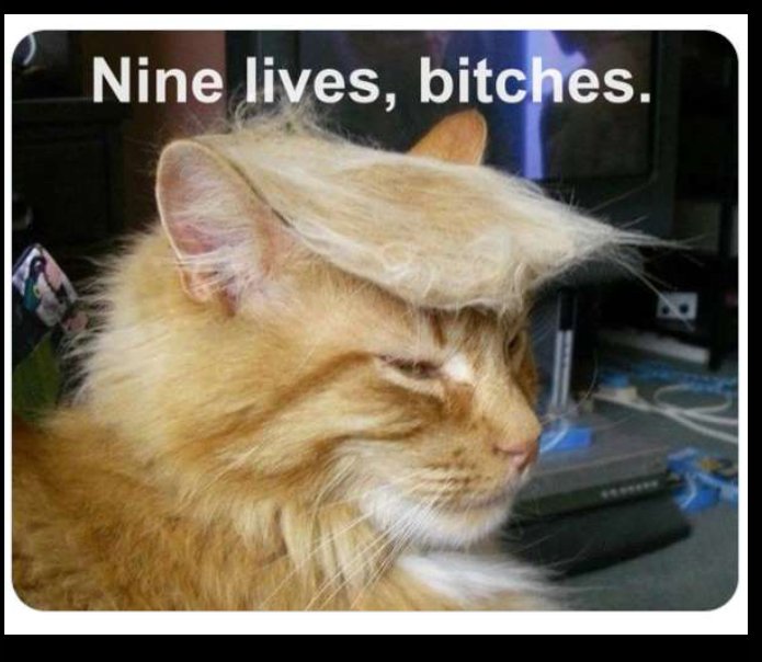 knc002's tweet photo. 🥰🥰🥰 #Trump 🥰🥰🥰 https://t.co/rc6twly8e1