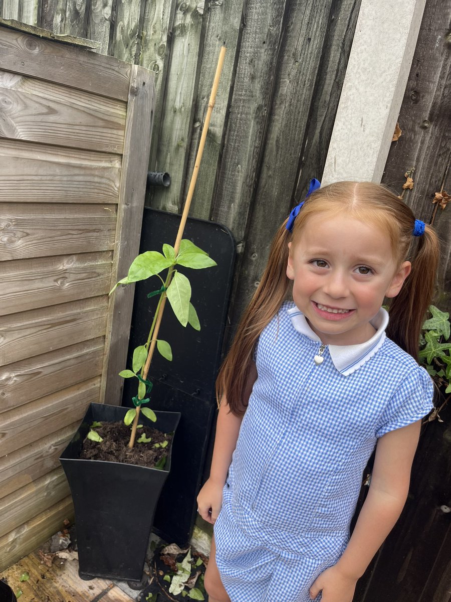 #RainbowPassport Plant a seed and watch it grow <a href="/NurserySilas/">St Silas Nursery: Miss Welch - Graham</a> <a href="/CGregoryREMAT/">Miss Gregory REMAT</a> <a href="/stsilasschool/">St Silas CE Primary School</a>