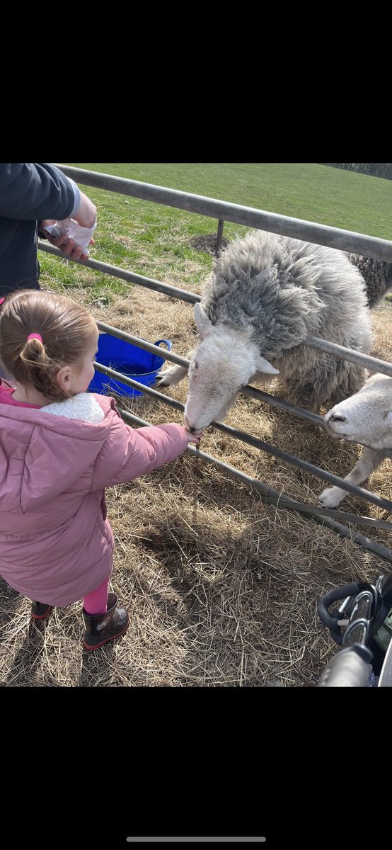 #RainbowPassport Visit a farm <a href="/NurserySilas/">St Silas Nursery: Miss Welch - Graham</a> <a href="/CGregoryREMAT/">Miss Gregory REMAT</a> <a href="/stsilasschool/">St Silas CE Primary School</a>