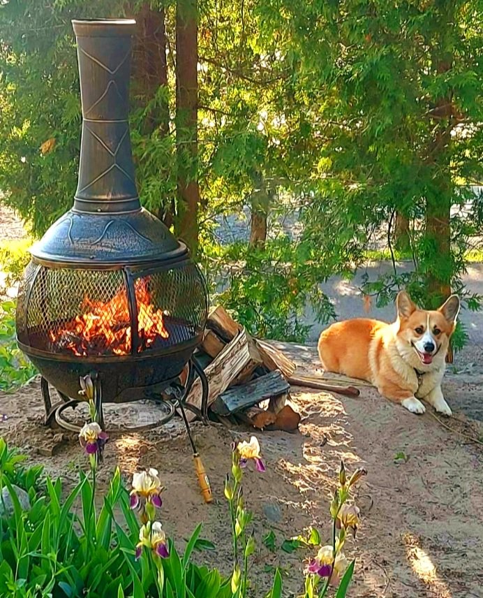 Ron Rawlings tweet media