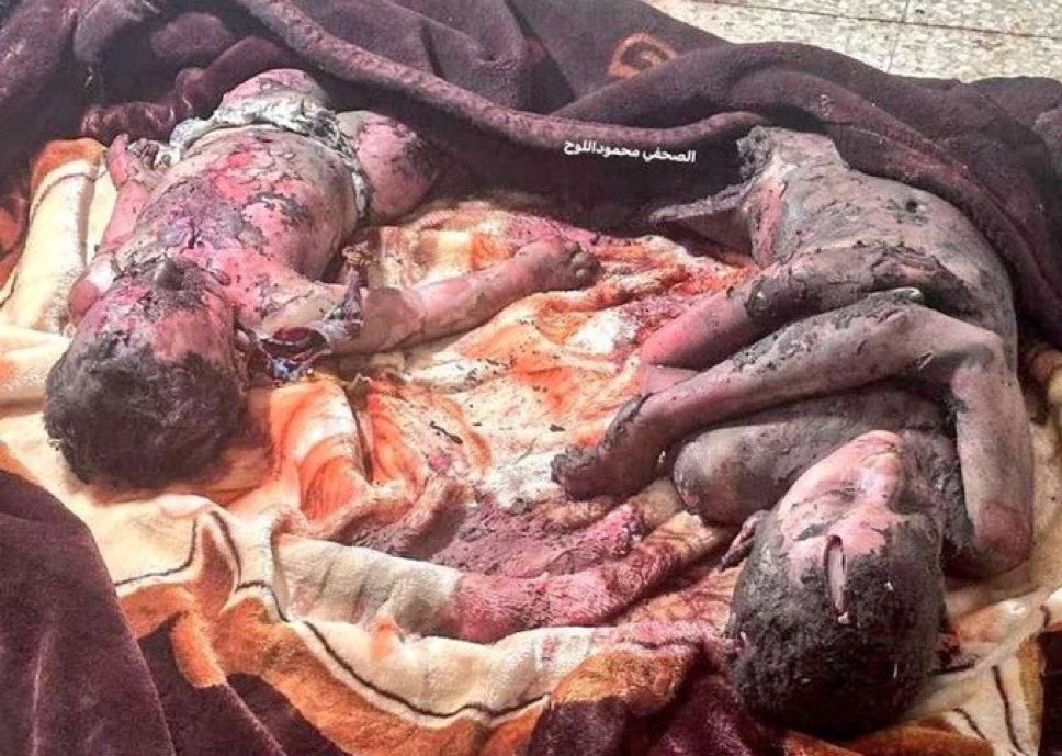 free palestine tweet media