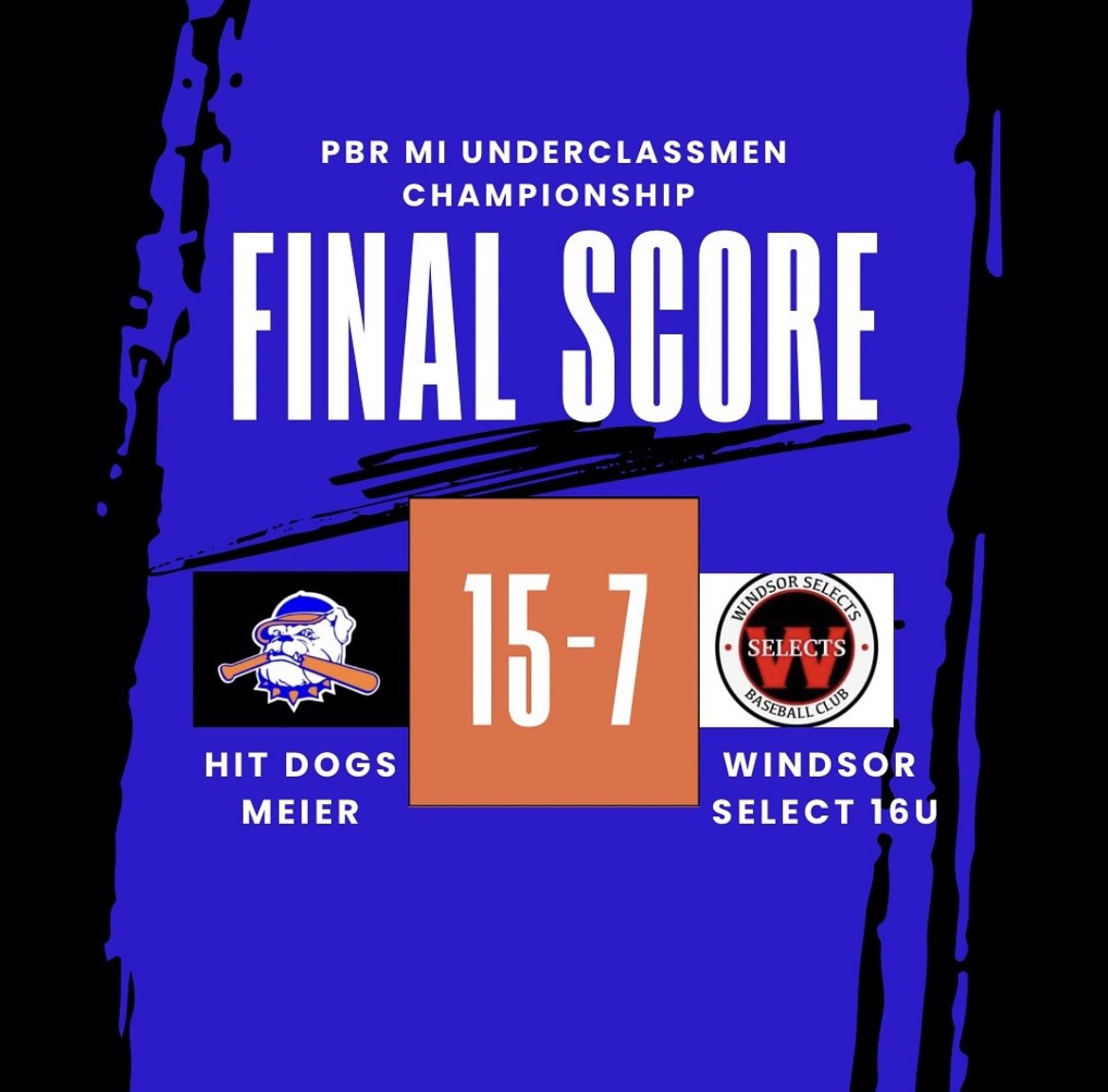 Motor City Hitdogs 17u National tweet media