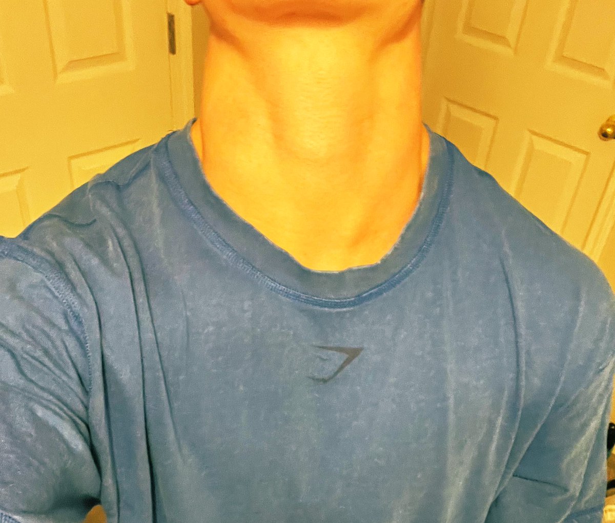 Added a neck day to my split so I can fuck around extra hard this semester