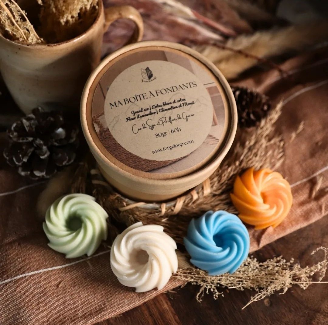 Forgeloup's tweet photo. Découvrez nos boites découverte de fondants.
Profitez de 80h de parfums pour embaumer votre maison pleinement.
Disponibles sur notre site internet.
(Non comestible) https://t.co/KaOozqBTVS